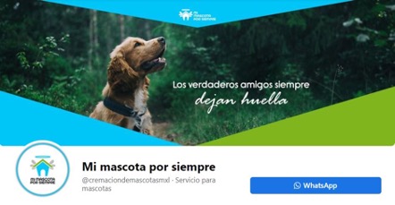 Falsos crematorios de mascotas hacen negocio con el dolor de las familias en Mexicali. Captura: Facebook