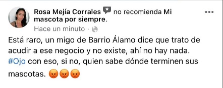 Falsos crematorios de mascotas hacen negocio con el dolor de las familias en Mexicali. Captura: Facebook